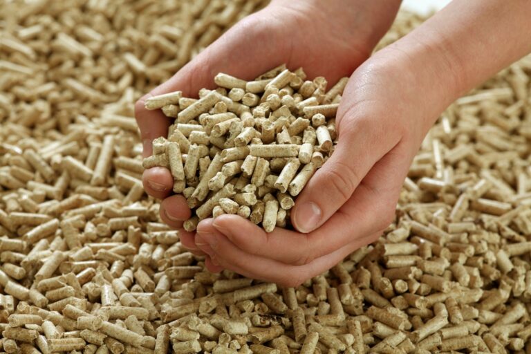 Hands holding wood pellets above a pile of pellets