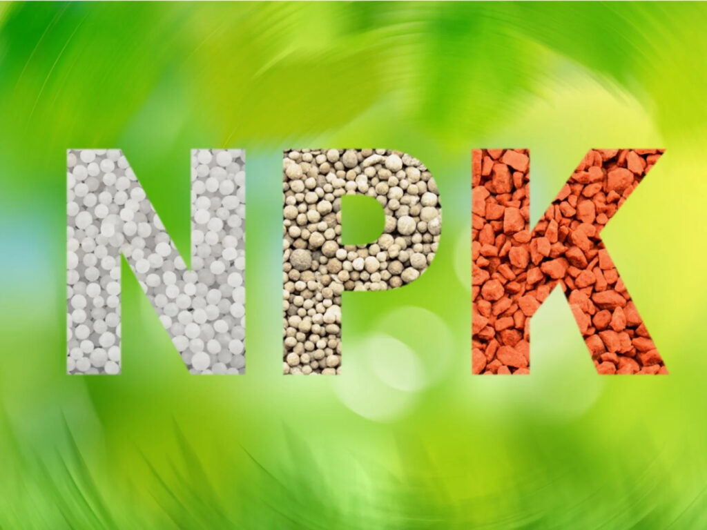 Buy NPK Fertilizers Online