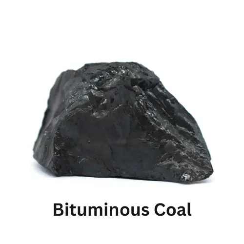 Bituminous coal