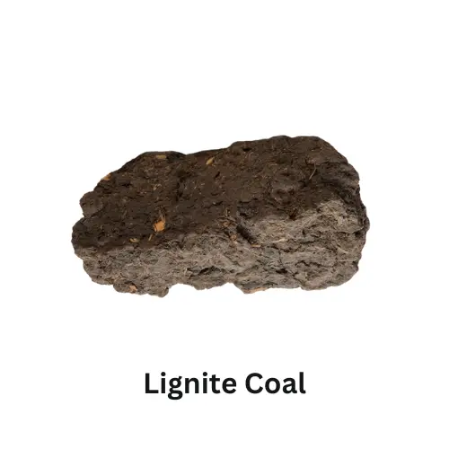 Lignite coal