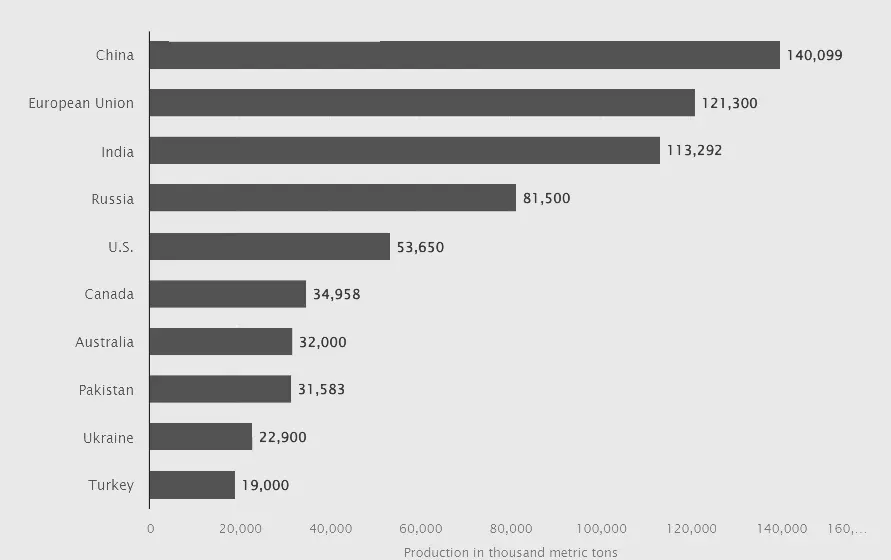 Top 10 Wheat Producing Countries in the World 2025