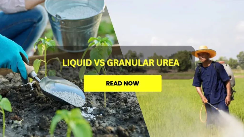 Liquid vs Granular Urea: Which One to Choose?