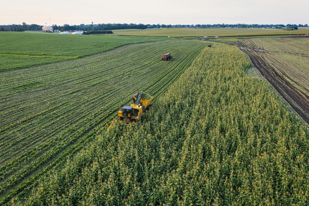 Urea in Agriculture: Importance, Types, Uses & Price