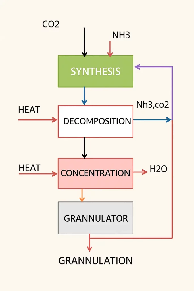 Urea Manufacturing Process step by step Explained How Urea Is Made in Industries