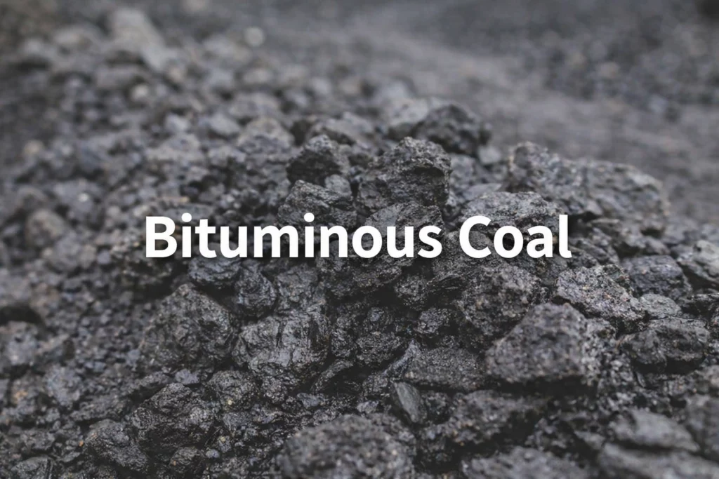 Heap of dark grey bituminous coal with the label Bituminous Coal