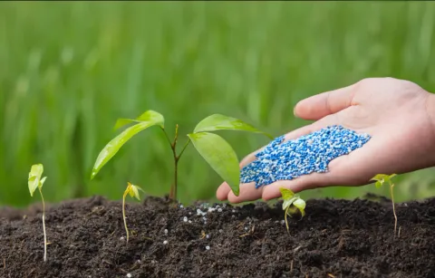 Policosanol(Octacosanol) manufacturer Policosanol(Octacosanol) manufacturer